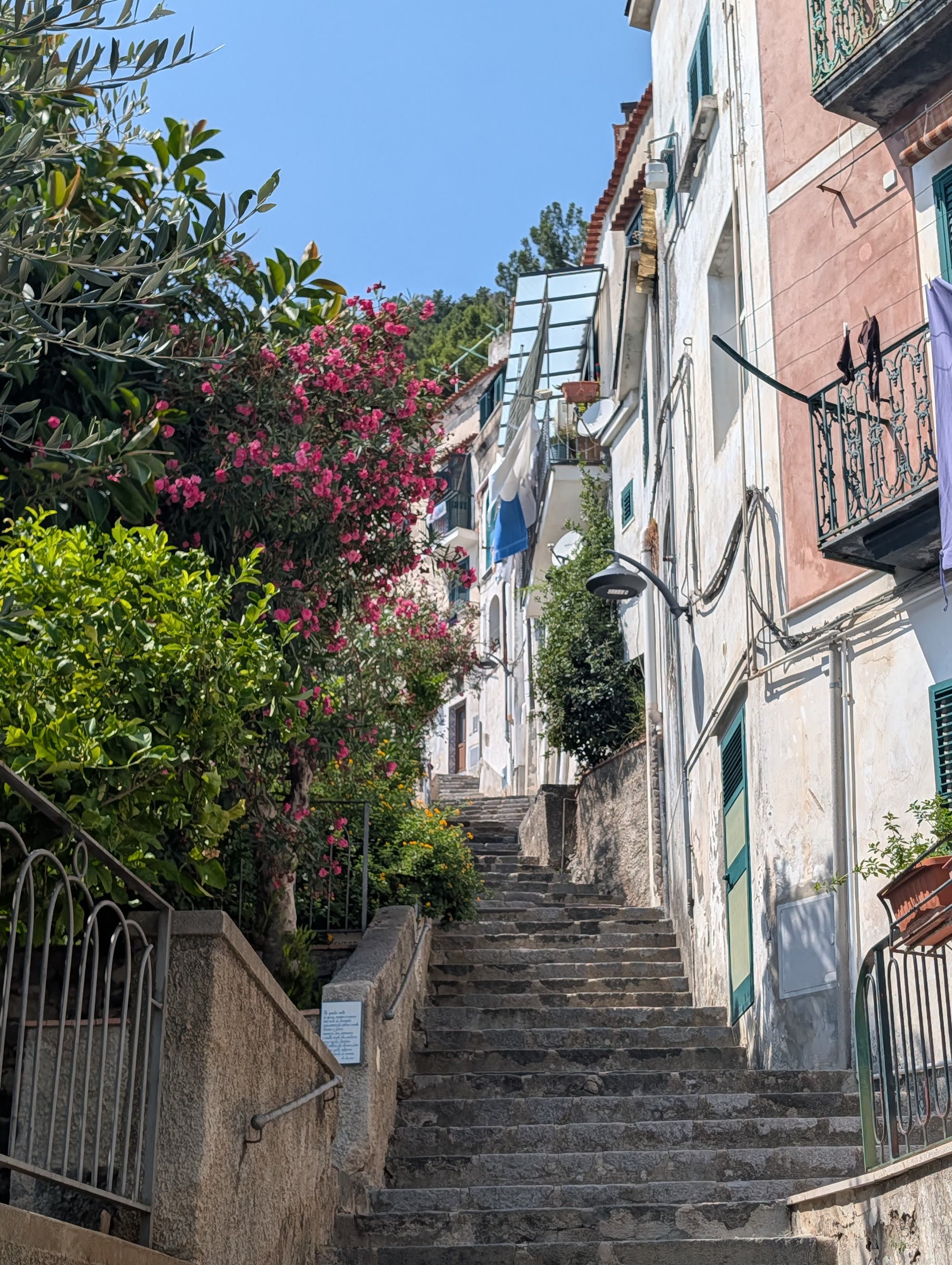 Escaleras entre casas blancas y flores en la costa